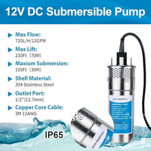 ECO-WORTHY 12V Stainless Steel Deep Well Pump Submersible Pump Kit with 12V 100Ah Lithium Battery, 20A Battery Charger, 20A Charge Controller for Well, Farm & Ranch Irrigation,Water Tank,Industrial