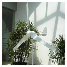 JCKJEDAT Wind Turbine Generator Kit 3000W Low Noise Horizontal Turbine 12V/24V/48V Wind Power Generator for Hybrid Solar Wind System Industrial Energy(Off Grid System,12V)