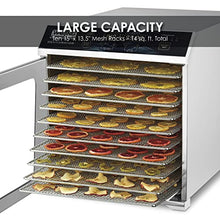 Waring Commercial Food Dehydrator WDH10 10 Tray Natural
