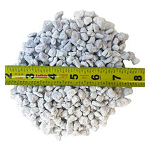 Viagrow VPERCH1-80 Chunky Perlite 29.9 Quarts White