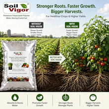 Soil Vigor Water-Storing Crystals for Plants, Large 5-10 Mesh Potassium Polyacrylate Granules, Reduces Watering, Improves Root Hydration for Houseplants, Trees, Lawns & Gardens, 40 lb