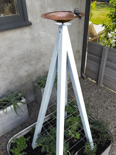 Modern Birdbath with Obelisk Trellis (Cloud, Regular)