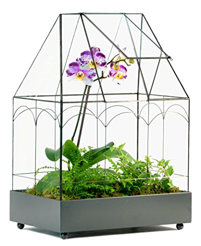 H Potter Large Glass Terrarium Wardian Case - 20" Tall - Indoor Planter