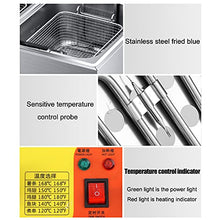 Dntum Commercial Gas Fryer with Timer and Temperature knob, Stainless Steel French Fries for Home Kitchen Restaurant,10L+10L