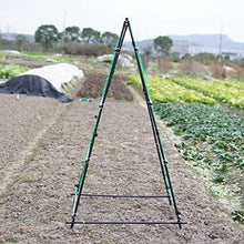 Garden Metal Climbing Plant Support, Tubular Structure 1.8m Flowers Steel Weather Resistant Powder Coating Frame Stand Growth Support(