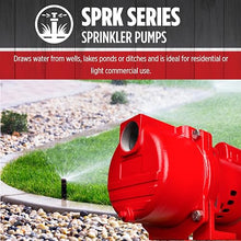 Red Lion RL-SPRK200-BR Sprinkler/Irrigation Pump, 230V, 76 GPM, 2 HP