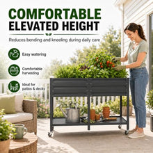 EXPEAK Galvanized Raised Garden Bed 6x2x3 ft, Elevated Metal Garden Bed with Lockable Wheels & Lower Storage Shelf, Planter Raised Beds for Vegetables, Herbs & Flowers, Gray