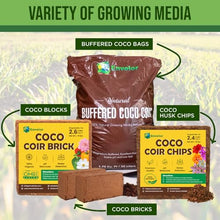 Envelor Coco Coir Bricks 100-Pack Natural 2.6 Cu. Ft. Organic Coconut Coir