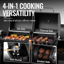 Grills House ZH3005Y 2-Burner Gas and Charcoal Grill Combo Black