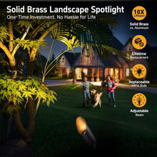 Gardenreet Die-Cast Brass Spot Light Outdoor - 12V Uplighting Waterproof, LED Low Voltage Landscape Lights, Metal Bronze for Fence Fountain Without MR16 Bulbs (12 Pack)