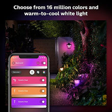 Philips Hue Econic Outdoor Smart Pathway Light Black - 4 Pack LED Walkway Lights