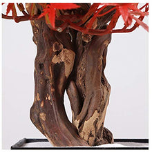 YXIANG56Q Fake Plants Simulation Maple Leaf Bonsai Ornaments Living Room Office Porch Aisle Potted Micro Landscape Ornaments Bonsai Tree(I)