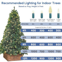 Novelty Lights 12-Pack, 50 Feet 100 LED Multicolor Christmas Mini Light String on Green Wire, 5mm Wide Angle Bulbs, Connectable, Indoor/Outdoor Decor, UL Listed