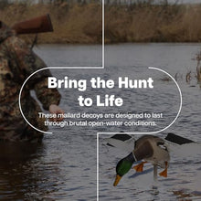 Avian-X Powerflight Smart Motion Mallard Motorized Duck Decoy 3 Pack