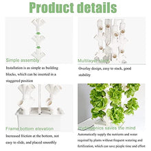 BEESOM Hydroponics Tower, Hydroponics Growing System for Indoor Herbs,Fruits and Vegetables,16/24/32 Pots Garden Hydroponic Growing Kit, Vertical Growing System Gift for Gardening Lover,32Holes