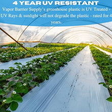 Vapor Barrier Supply - Clear Greenhouse Plastic Sheeting - 6 mil - 4 Year UV Resistant Polyethylene Greenhouse Film, Hoop House Green House Cover for Gardening, Farming (28' x 100'), 4YR61