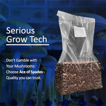 FGI 300 Ace of Spades Premium Quality 5 Gallon Mushroom Spawn Filter Grow Bags. 8mil Polypropylene Heaviest Duty, Won't Break, Extra Large 20" x 8" x 5"