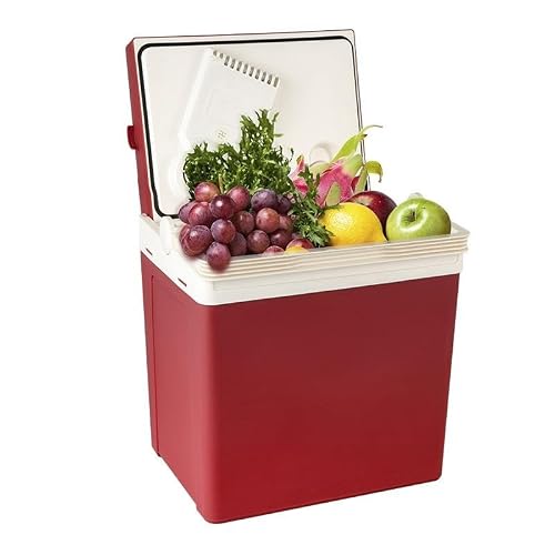 AWMGPDDBTO Mini Fridge 28L Car Home Mini Fridge