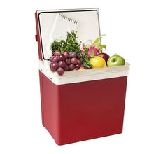 AWMGPDDBTO Mini Fridge 28L Car Home Mini Fridge