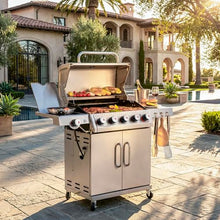 Feasto 5 Burner Propane Gas Grill with Side Burner and Sear Burner, Silver