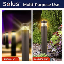 Solus Round LED Bollard Path Light – 10W Integrated LED, 937 Lumens, 4000K – Modern Outdoor Walkway Light, ETL Listed, Black or Bronze (Bronze, 2 Pack)