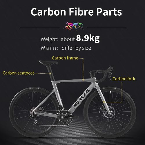 SAVADECK Carbon Road Bike Grey