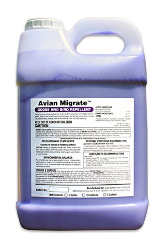 Avian Migrate, Goose Deterrent, Bird Repellent Concentrate, Geese Repellent, Non-Toxic, Removes Geese from Yards, Parks, Beaches, Ponds and Ground, Made in The USA (2.5 Gallon)
