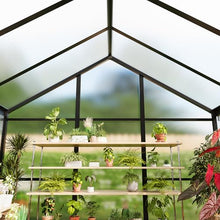 8x10 FT Greenhouse for Outdoors, Polycarbonate Flower Greenhouse with Roof Vent, Push-Pull Lockable Door, Aluminum Walk-in Greenhouses for Outside Garden Backyard, Patio, Lawn, Black