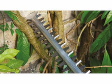 Bosch Home and Garden Hedge Trimmer - AdvancedHedgeCut 65 (500 W, Blade Length: 65 cm, for Large Hedges, Cutting Capacity: 34 mm, in Cardboard) 06008C0801 Green