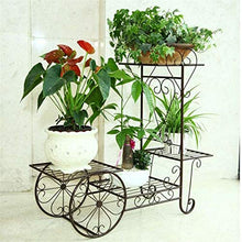 SIDUFHAOPKLL 4 Layers Plants Stand Flower Rack Metal Indoor Plant Shelves Multi-story Outdoor Floor Shelf Balcony(Black)