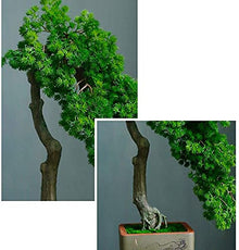 LSHAOBO Artificial Bonsai Tree Simulation Welcome to Tree Hotel Office Tea Several Live Hall Extreme Decoration (Color:C)