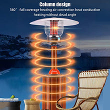 AIZYR Outdoor Patio Heater - Stainless Steel Patio Heater with Stepless Fine-Tuning/High Efficiency Heating for Garden, Balcony,Natural Gas