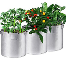 Waterproof Garden Pots Planters Grow Bags for Vegetables Non-Woven Potato and Tomato Planting Flower Pot Garden Tool (Size : 7 Gallon-2pcs) (10 Gallon)