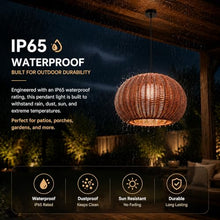 MIXL 24 Inch Outdoor Rattan Pendant Light for Balcony and Garden,Boho Style