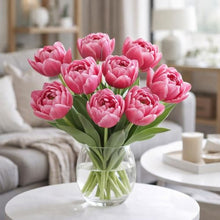 Garden State Bulb Arosa Double Late Tulip Flower Bulbs, 11/12cm (Bag of 250)