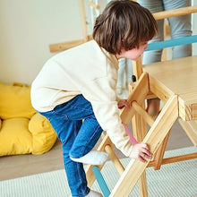 Avenlur Grove 8-in-1 Indoor Jungle Gym Colored Bars