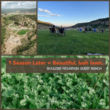 Mountain Valley Seed Co Micro Clover Seed for Lawn - 25 Lb Bulk