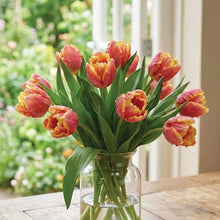 Garden State Bulb Dee Jay Parrot Tulip Flower Bulbs, 11/12cm (Bag of 250)