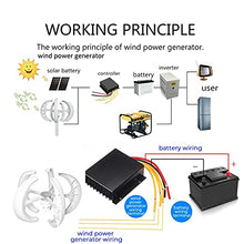 3200W AC12/24V Lantern 5-Blade Wind Turbines Generator Household Power Generator W/Controller for Solar Streetlight Boat Marine Red 24v (Red 24v)