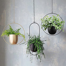 A1DFDFGOQSFG Iron Hanging Flower Pot Decorative Swinging Flower Basket Wall Hanging Flower Pot Decorative Hanging Basket Wall Mount for Home (Size : C) ()