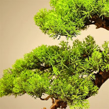 YXIANG56Q Fake Plants Simulation Bonsai Fake Green Plants Potted Plants Office Study Chinese Decorative Ornaments Hotel High-Grade Furnishings Bonsai Tree