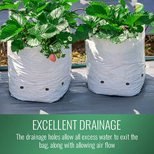 DL Wholesale Grow 1 Plant Grow Bags for Planting, Plastic Plant Bag, Nursery Pots for Flowers, Vegetables, Herbs, 20 Gallon, 200 Bags