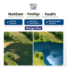 Bjornsen Natural Pond Treatment Pack Midnight Blue, Half Acre, Pond Care