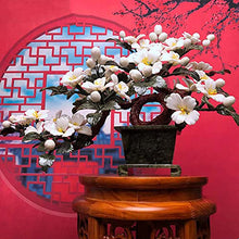 YXIANG56Q Fake Plants Artificial Bonsai Living Room Jade Peony Flowerpot Ornaments Fortune Tree Feng Shui Ornaments for Home Office Porch Lucky Gift Bonsai Tree(A)