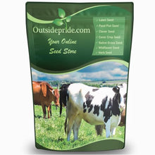 Outsidepride Forage Bermuda Seeds - 40 lb. Perennial, Drought Tolerant & Fast-Growing, Pasture Seeds for Planting Large Grass Leaves, Ideal for Hay Foraging & Rotational Grazing
