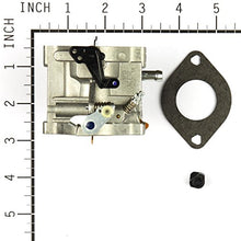 Briggs & Stratton 799728 Carburetor Replaces 498027/498231/499161
