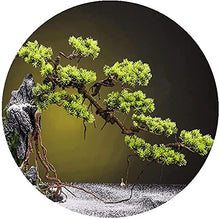 LSHAOBO 21-inch Artificial Bonsai Tree Potted Plant, Simulated Pine Tree Bonsai with Lights, Fake Plants for Desktop Home Office Display