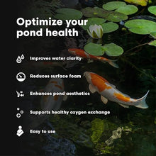 Brightwell Aquatics FlorinShade Pond Appearance Enhancer, 20L