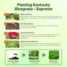 Outsidepride Supreme Kentucky Bluegrass Seed Mix - 50 lbs Cold Tolerant, Lawn Grass w/OptiGrowth Coating for Seed Enhancement, Ideal for Home, Parks, & Athletic Fields