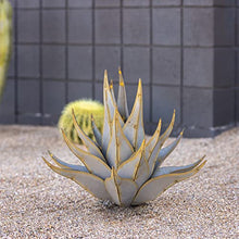 Desert Steel Sharkskin Agave - Small (22" W x 18" H) - Indoor/Outdoor Metal Yard Art & Yard Decor, All Weather